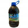 Sirop de Jellab Crowan 2.5 L