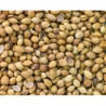 Coriandre en graines en vrac 30g